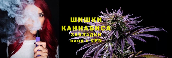 сатива Арсеньев
