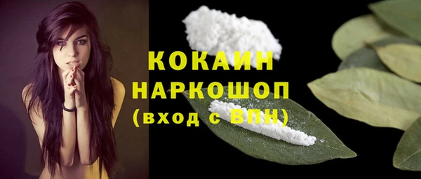 сатива Арсеньев