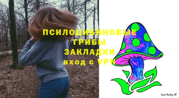 сатива Арсеньев