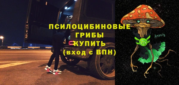сатива Арсеньев