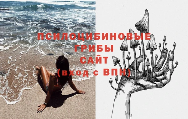 сатива Арсеньев